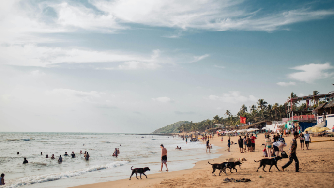 Goa Becomes India’s Second 100% Literate State